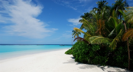 Traumstrand auf einem Malediven Atoll