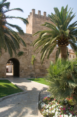 Die Altstadt von Alcudia ist mit einer alten Stadtmauer mit mächtigen Stadttoren umgeben. Im Vordergrund Palmen vor dem Stadttor in Alcudia